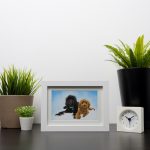 Pet Oil Painting Personalised Design - White Frame